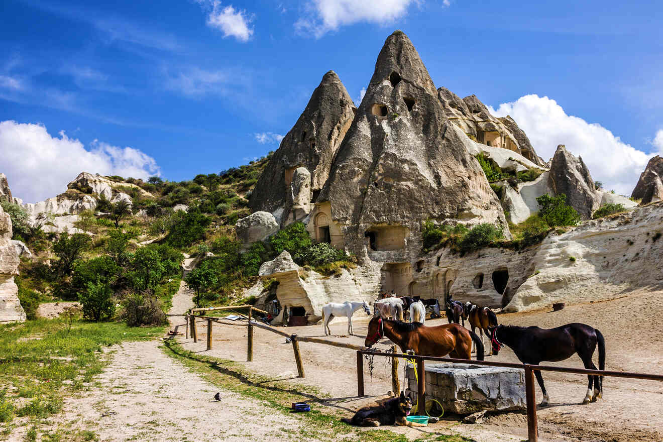 11 Best Cappadocia Tours - Fun Day Tours for All Ages!