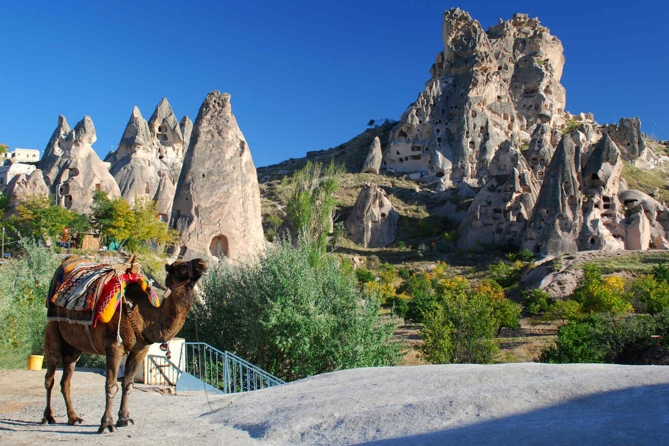 11 Best Cappadocia Tours - Fun Day Tours for All Ages!